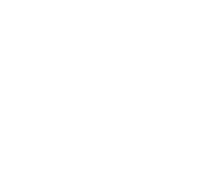 Home visit icon